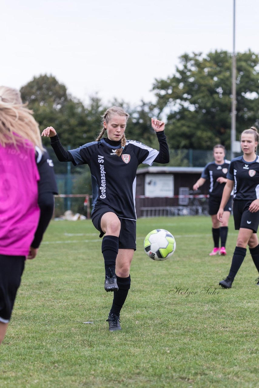 Bild 52 - Frauen Grossenasper SV - SV Steinhorst/Labenz : Ergebnis: 1:3